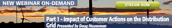 Impact of Customer Actions on the Distribution Grid